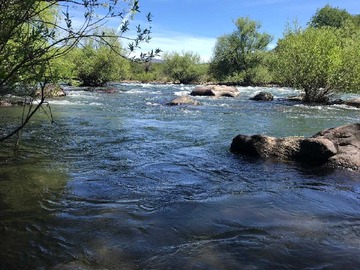 Venta / Terreno / Lonquimay