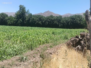 Imagen 8