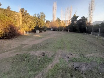 Imagen 7