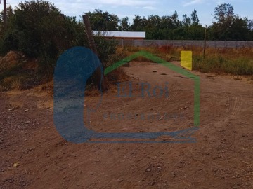 Imagen 5