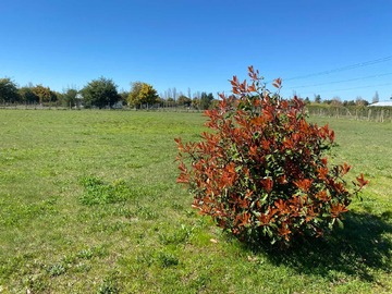 Venta / Terreno / Los Ángeles