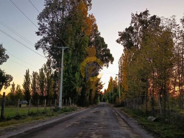 Imagen 21