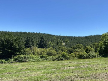 Venta / Terreno / Los Ángeles