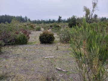 Venta / Terreno / Los Ángeles