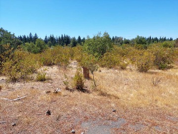 Venta / Terreno / Los Ángeles