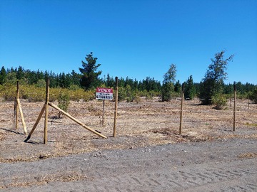 Venta / Terreno / Los Ángeles