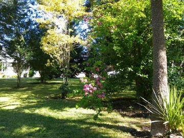Imagen 5