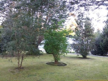 Venta / Terreno / Los Ángeles