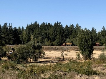 Venta / Terreno / Los Ángeles