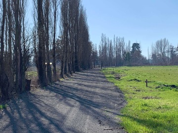 Venta / Terreno / Los Ángeles