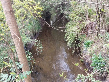 Venta / Terreno / Los Ángeles