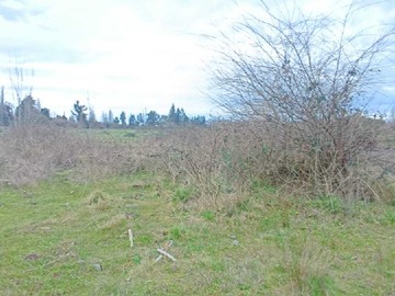 Venta / Terreno / Los Ángeles