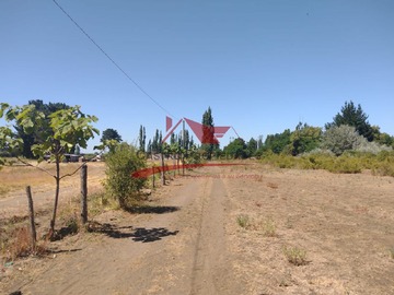 Imagen 14