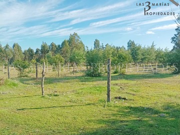 Venta / Terreno / Los Ángeles