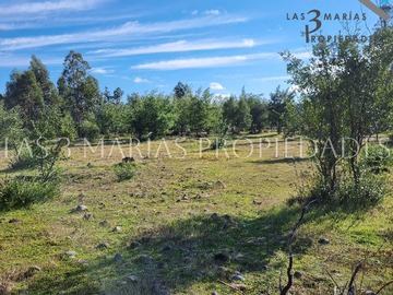 Imagen 17