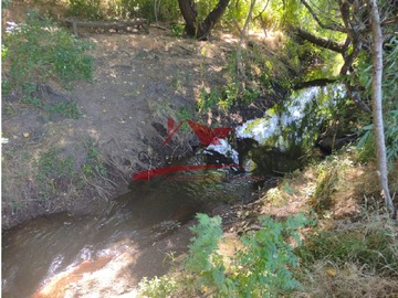 Imagen 10