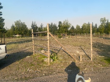 Imagen 5