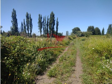 Venta / Terreno / Los Ángeles