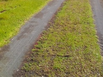 Venta / Terreno / Los Ángeles