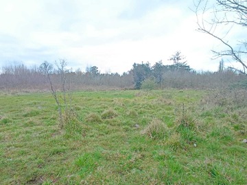 Venta / Terreno / Los Ángeles