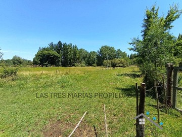Imagen 19