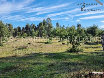 Imagen 12