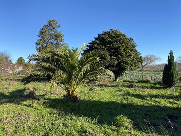 Venta / Terreno / Los Ángeles