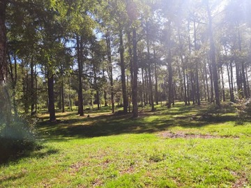 Venta / Terreno / Los Lagos