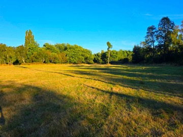 Venta / Terreno / Los Lagos