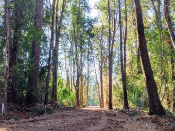 Venta / Terreno / Los Lagos