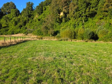 Venta / Terreno / Los Lagos