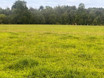 Venta / Terreno / Los Lagos