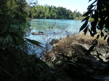 Imagen 9