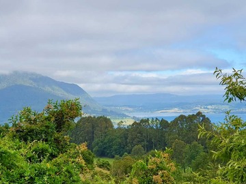 Venta / Terreno / Los Lagos