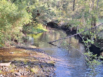 Venta / Terreno / Los Lagos