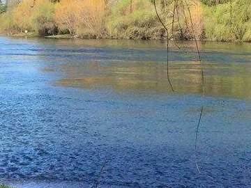 Venta / Terreno / Los Lagos