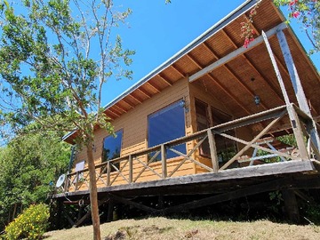 Venta / Terreno / Los Lagos