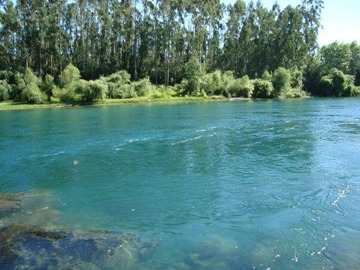 Imagen 5