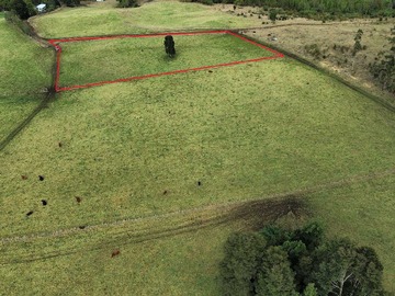 Venta / Terreno / Los Muermos