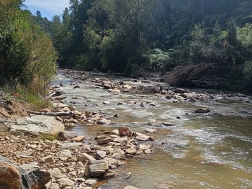 Venta / Terreno / Los Muermos