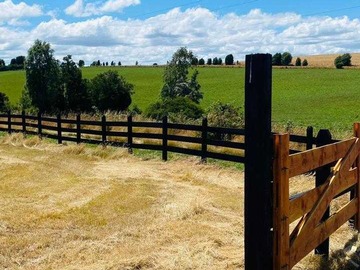 Venta / Terreno / Los Muermos