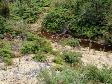 Imagen 5