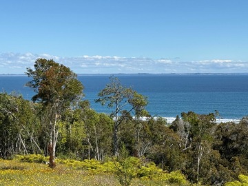Venta / Terreno / Los Muermos
