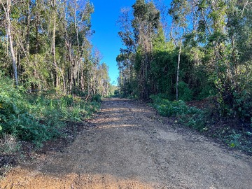 Venta / Terreno / Los Muermos