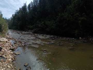 Venta / Terreno / Los Muermos