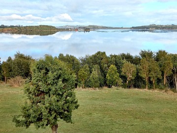 Venta / Terreno / Los Muermos