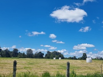 Venta / Terreno / Los Muermos