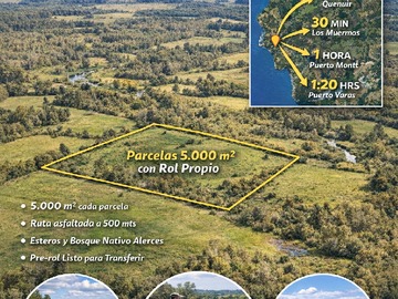 Venta / Terreno / Los Muermos