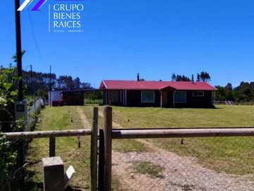 Imagen 4