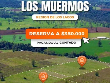 Venta / Terreno / Los Muermos